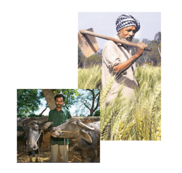 AgroBEET team and farmers